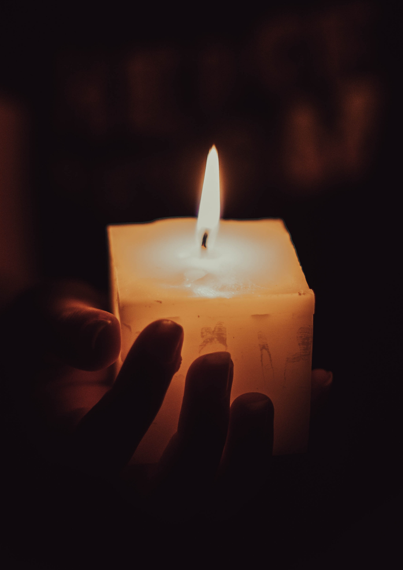 ACOMPAÑAMIENTO HOLÍSTICO INTEGRATIVO BESPIERTA