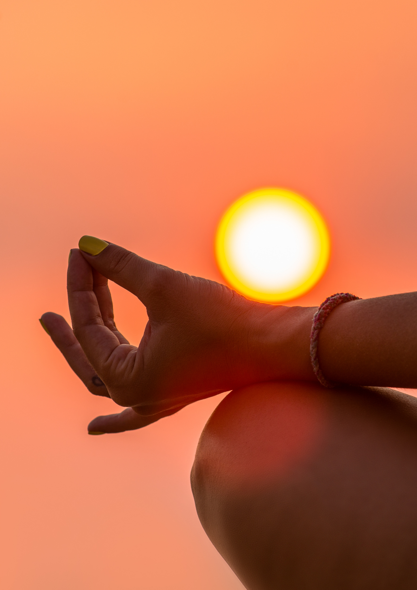 ACOMPAÑAMIENTO HOLÍSTICO INTEGRATIVO BESPIERTA