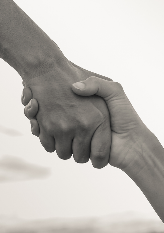 ACOMPAÑAMIENTO HOLÍSTICO INTEGRATIVO BESPIERTA