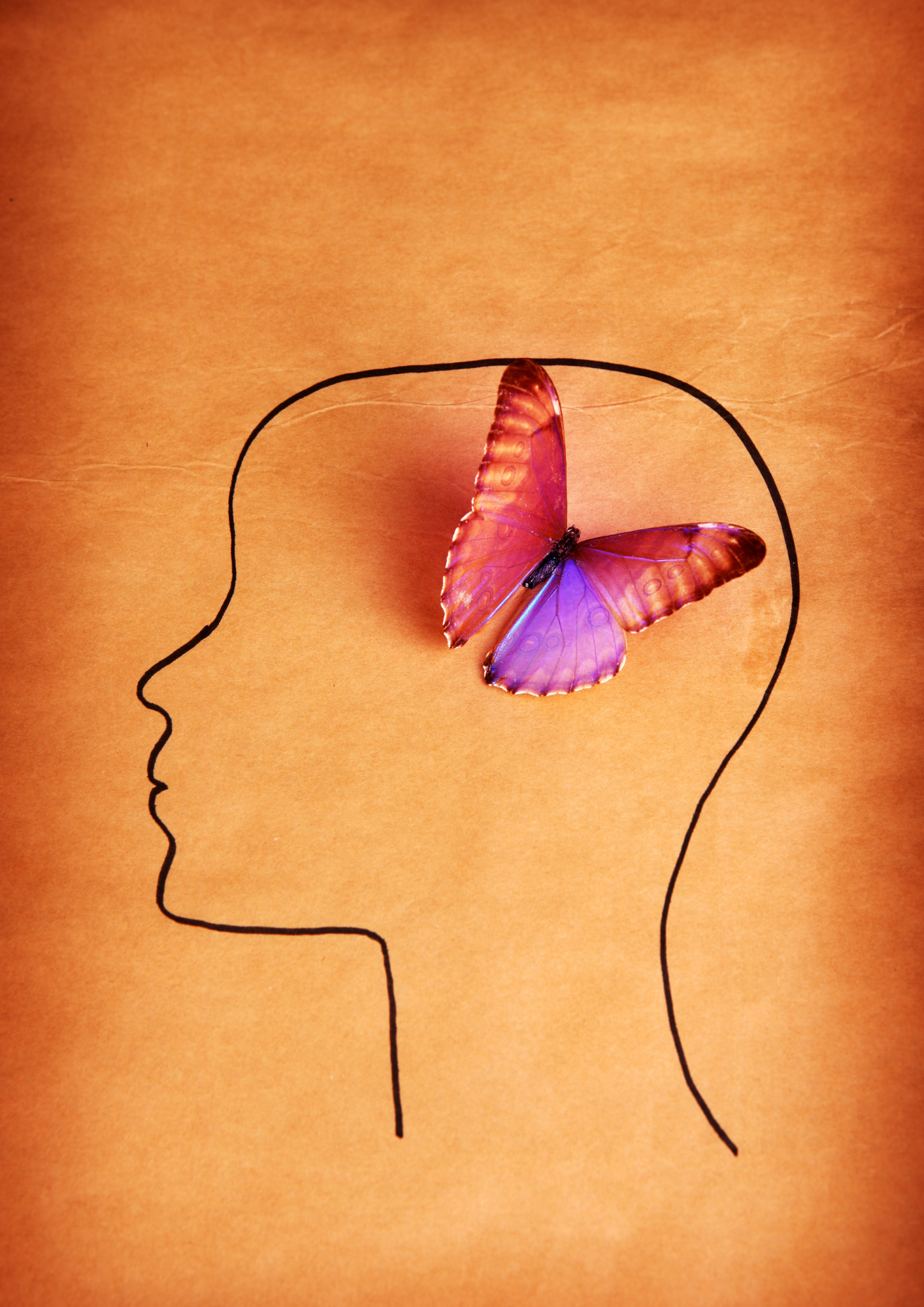 BIODESCODIFICACIÓN BESPIERTA