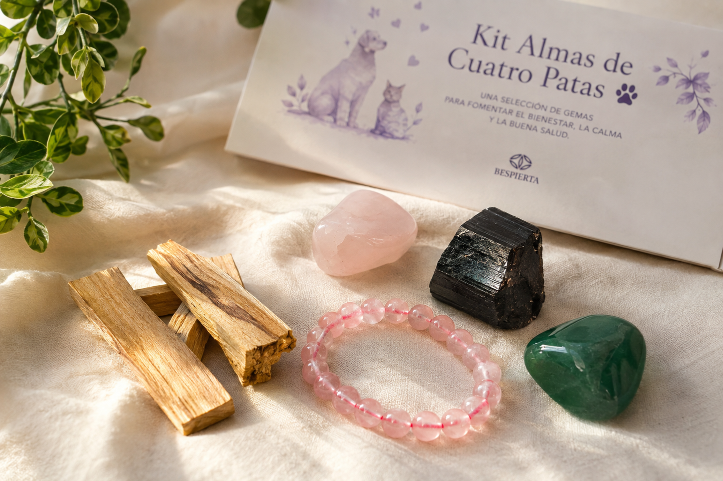 KIT ALMA DE CUATRO PATAS
