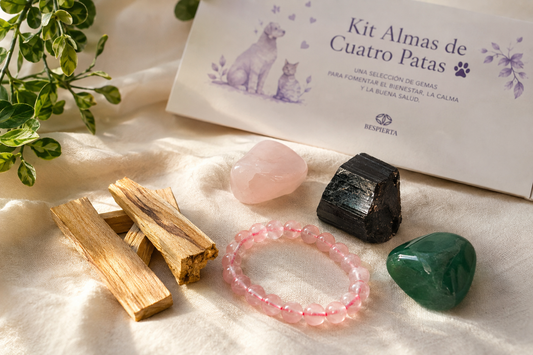 KIT ALMA DE CUATRO PATAS